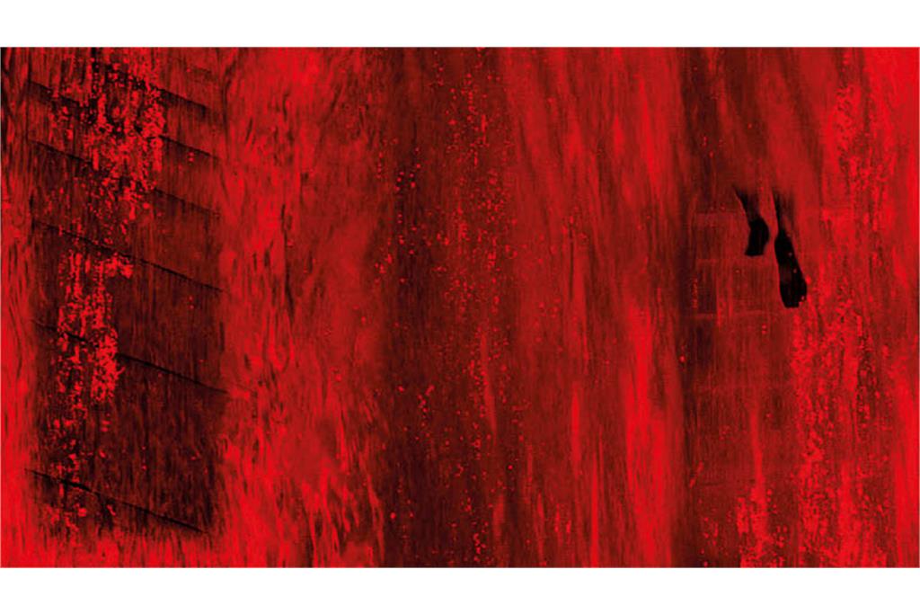 اثری از سیلویا ریوا