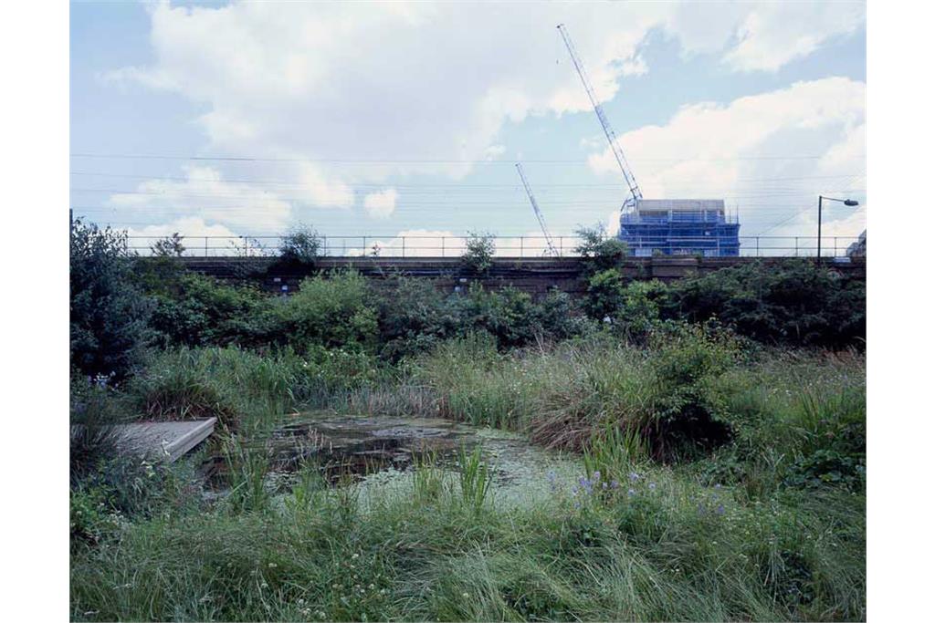 Film Stills, 2017–18 _ Mitra Tabrizian 1