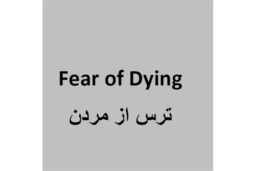 بدون تو شادترم - مجموعه عکسی از کتایون فیضی‌زاده 25