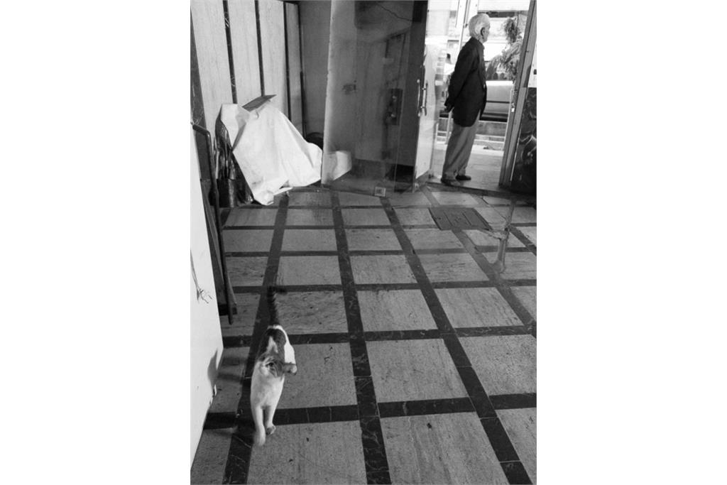 مجموعه عکس آپارات خانه تعطیل نیست! آپارات خانه خاموش شد اثر زهره صابری 12