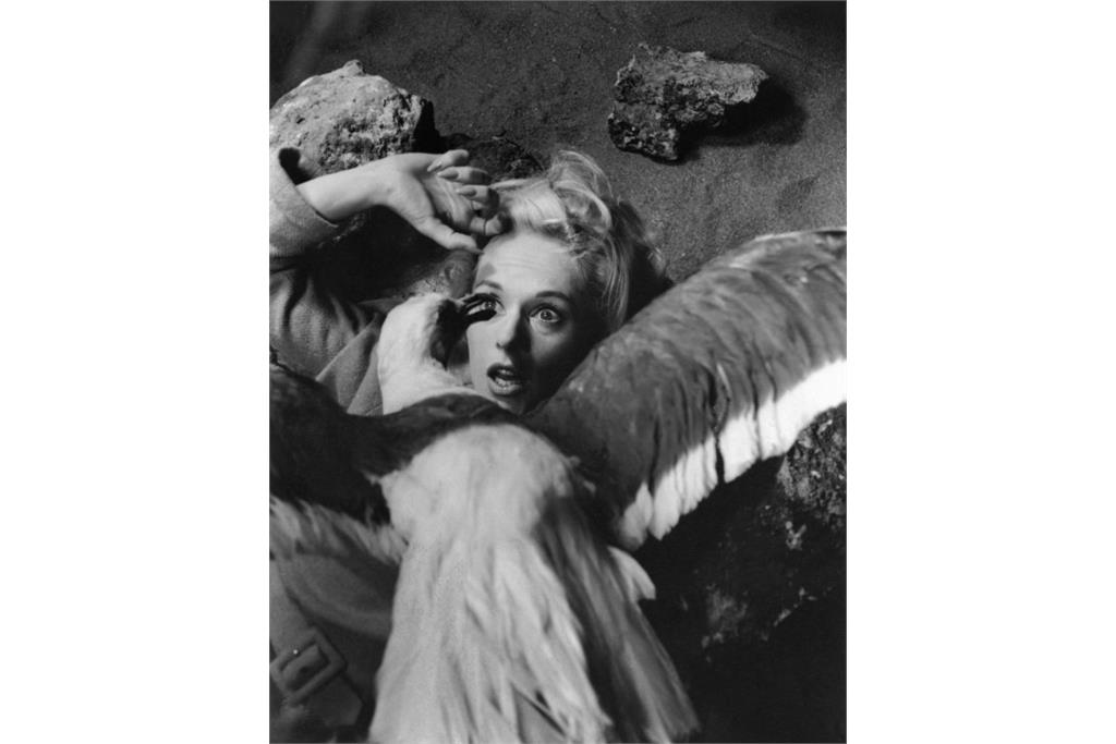 پرتره‌های هیچکاکی فلیپ هالسمن 6