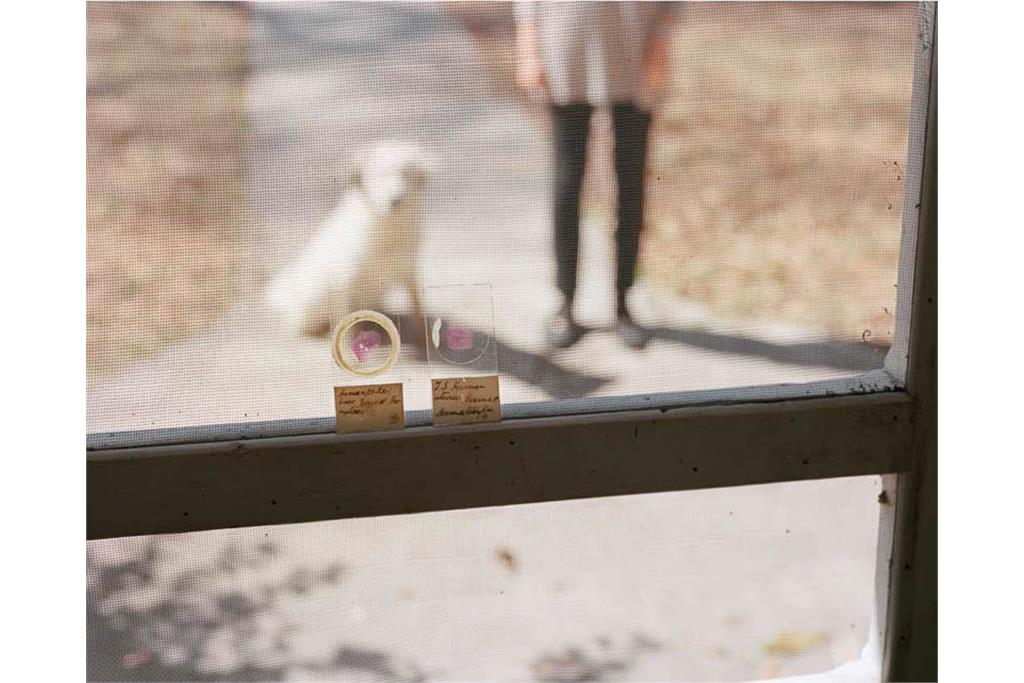 عکس‌های سوزان ورشام از جنوب آمریکا 10